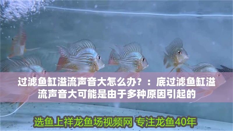 過濾魚缸溢流聲音大怎么辦？：底過濾魚缸溢流聲音大可能是由于多種原因引起的