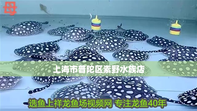 上海市普陀區素野水族店 上海市普陀區素野水族店 全國水族館企業名錄
