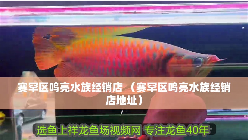 賽罕區(qū)鳴亮水族經(jīng)銷店 （賽罕區(qū)鳴亮水族經(jīng)銷店地址）
