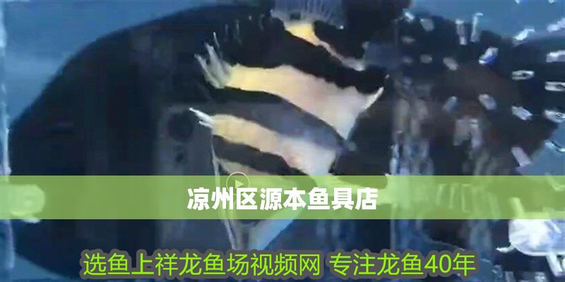 涼州區(qū)源本魚(yú)具店