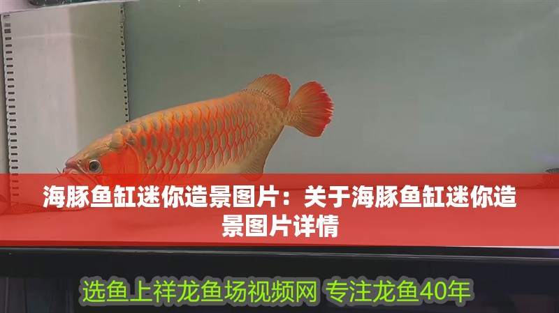 海豚魚(yú)缸迷你造景圖片：關(guān)于海豚魚(yú)缸迷你造景圖片詳情