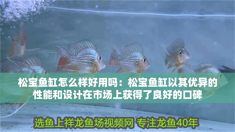 松寶魚缸怎么樣好用嗎：松寶魚缸以其優異的性能和設計在市場上獲得了良好的口碑 松寶魚缸怎么樣好用嗎：松寶魚缸以其優異的性能和設計在市場上獲得了良好的口碑 魚缸百科