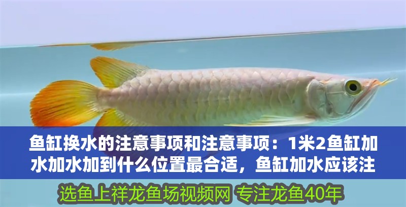 魚缸換水的注意事項和注意事項：1米2魚缸加水加水加到什么位置最合適，魚缸加水應(yīng)該注意什么
