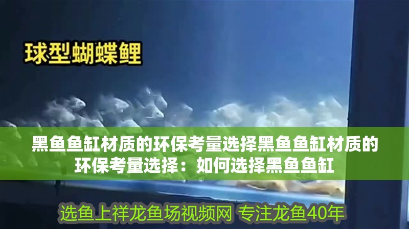 黑魚魚缸材質的環?？剂窟x擇黑魚魚缸材質的環?？剂窟x擇：如何選擇黑魚魚缸