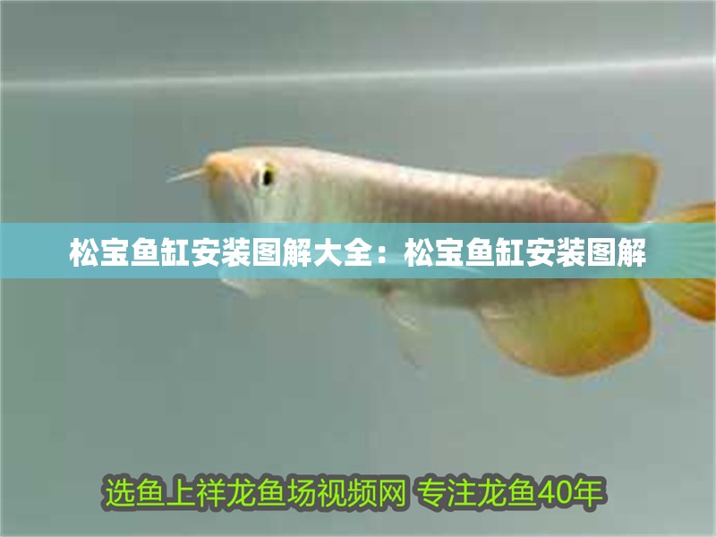 松寶魚缸安裝圖解大全：松寶魚缸安裝圖解