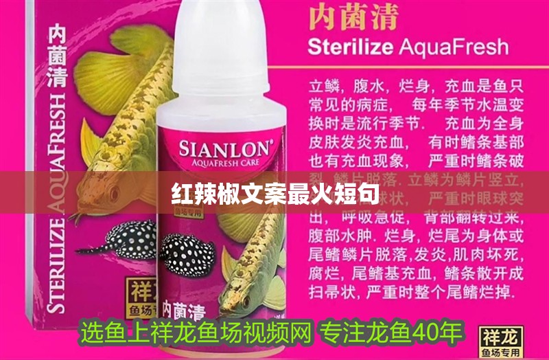 紅辣椒文案最火短句