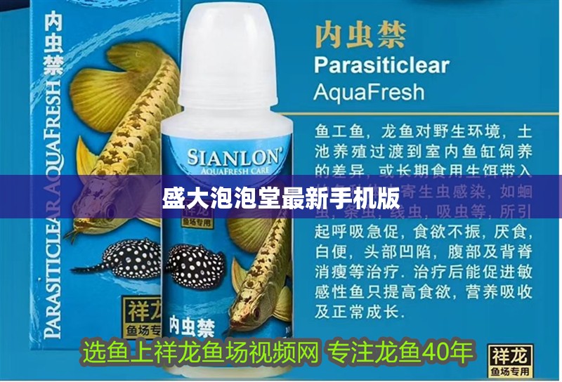 盛大泡泡堂最新手機(jī)版