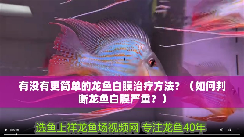 有沒有更簡單的龍魚白膜治療方法？（如何判斷龍魚白膜嚴重？）