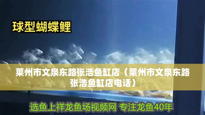 萊州市文泉東路張浩魚缸店（萊州市文泉東路張浩魚缸店電話）