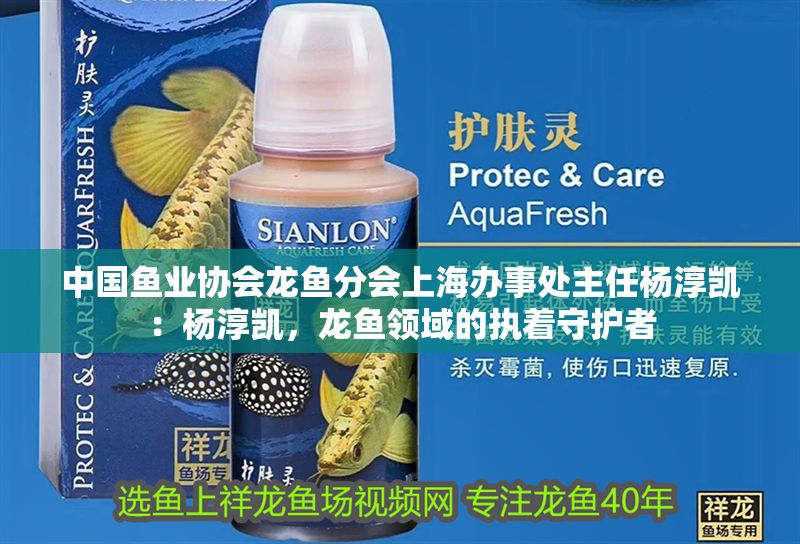 中國魚業(yè)協(xié)會龍魚分會上海辦事處主任楊淳凱：楊淳凱，龍魚領(lǐng)域的執(zhí)著守護者