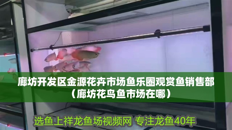 廊坊開發區金源花卉市場魚樂圈觀賞魚銷售部（廊坊花鳥魚市場在哪）