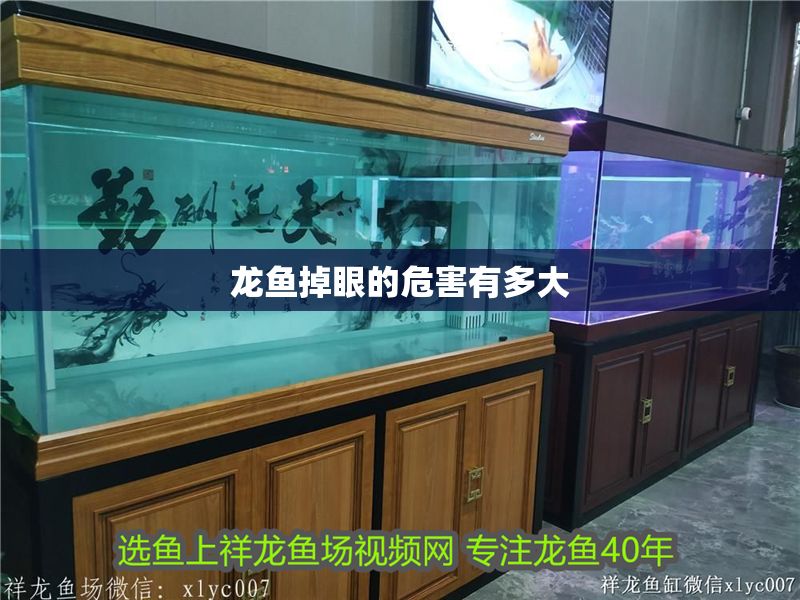 龍魚掉眼的危害有多大