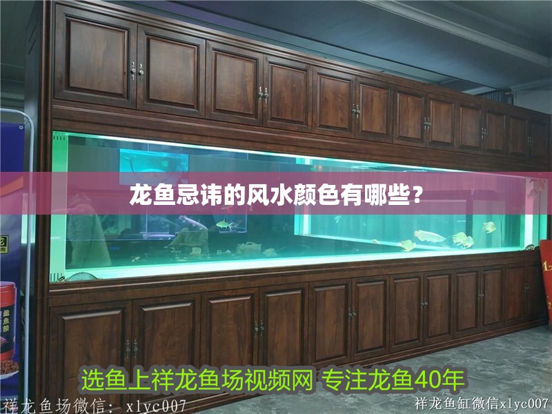 龍魚忌諱的風水顏色有哪些？