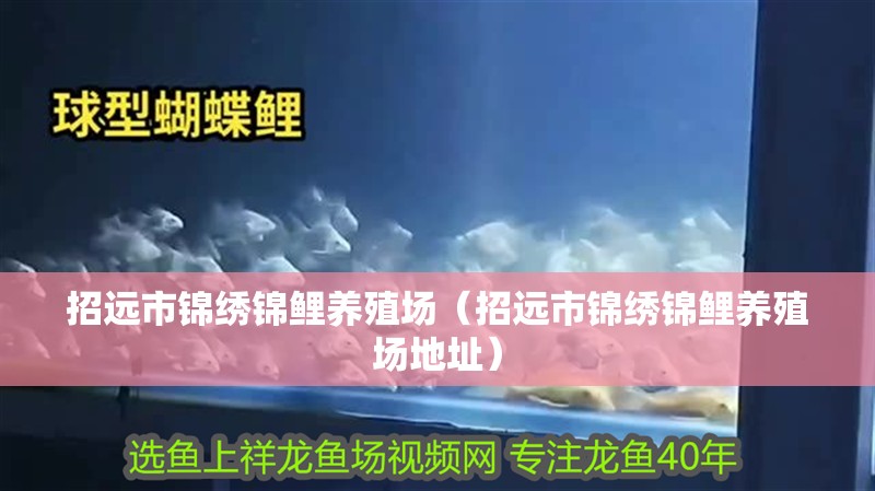 招遠市錦繡錦鯉養殖場（招遠市錦繡錦鯉養殖場地址）