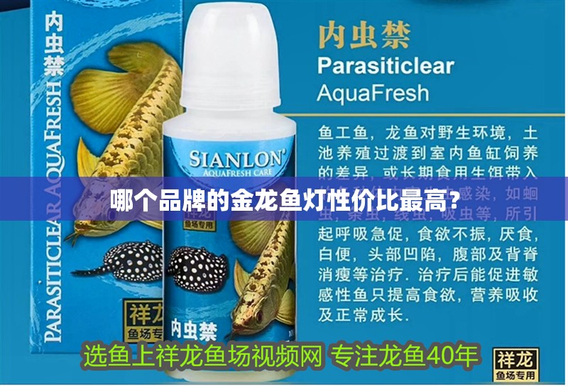 哪個品牌的金龍魚燈性價比最高？ 哪個品牌的金龍魚燈性價比最高？ 水族問答