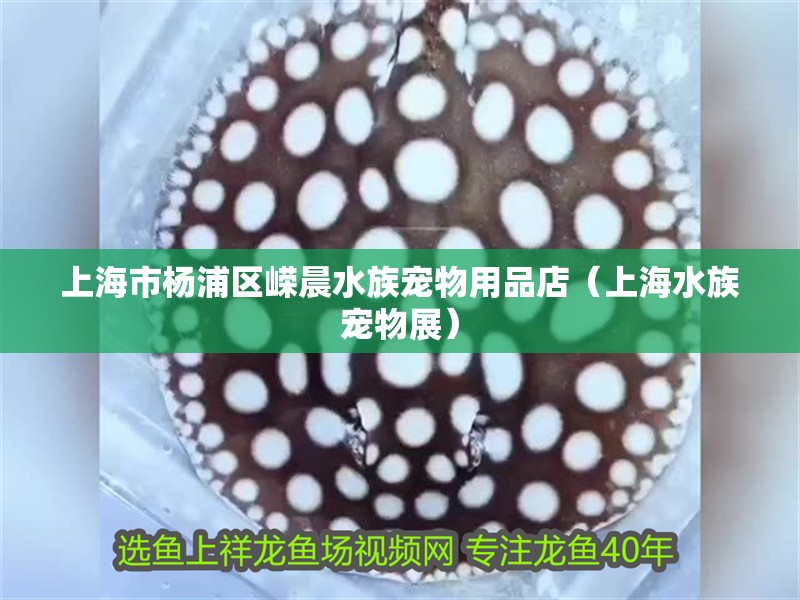 上海市楊浦區(qū)嶸晨水族寵物用品店（上海水族寵物展）