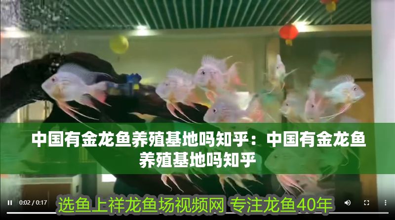 中國有金龍魚養殖基地嗎知乎：中國有金龍魚養殖基地嗎知乎