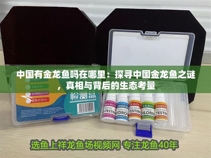 中國(guó)有金龍魚(yú)嗎在哪里：探尋中國(guó)金龍魚(yú)之謎，真相與背后的生態(tài)考量