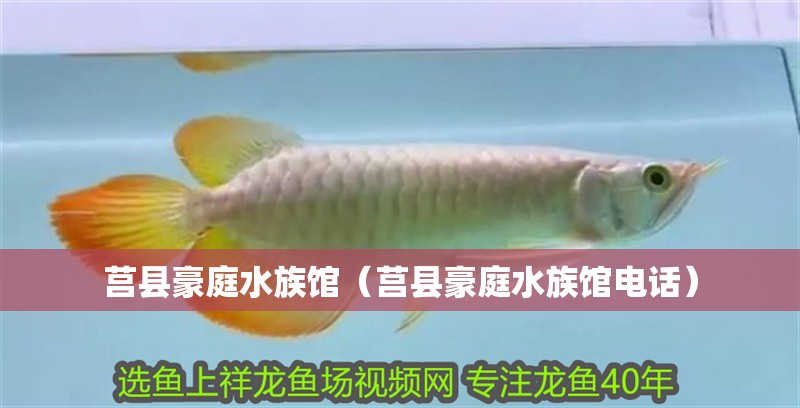 莒縣豪庭水族館（莒縣豪庭水族館電話）