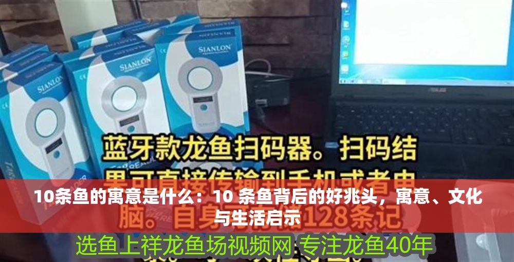 10條魚的寓意是什么：10 條魚背后的好兆頭，寓意、文化與生活啟示