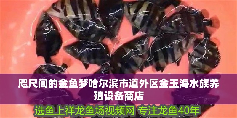 魚缸用增氧泵價格是多少:魚缸增氧機-xtrac增氧機-xtrac增氧機 咫尺間的金魚夢哈爾濱市道外區金玉海水族養殖設備商店 全國水族館企業名錄 咫尺間的金魚夢哈爾濱市道外區金玉海水族養殖設備商店 咫尺間的金魚夢哈爾濱市道外區金玉海水族養殖設備商店 全國水族館企業名錄