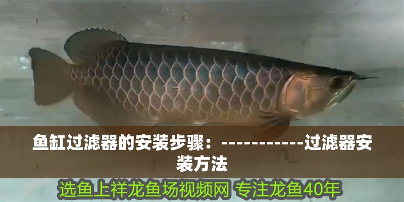 魚缸過濾器的安裝步驟：-----------過濾器安裝方法