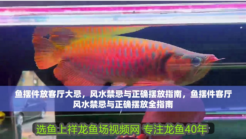 魚擺件放客廳大忌，風水禁忌與正確擺放指南，魚擺件客廳風水禁忌與正確擺放全指南 魚擺件放客廳大忌，風水禁忌與正確擺放指南，魚擺件客廳風水禁忌與正確擺放全指南 龍魚百科 第1張