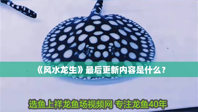 《風水龍生》最后更新內容是什么？