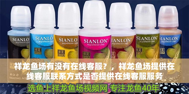 祥龍魚場有沒有在線客服？，祥龍魚場提供在線客服聯系方式是否提供在線客服服務 祥龍魚場有沒有在線客服？，祥龍魚場提供在線客服聯系方式是否提供在線客服服務 龍魚百科
