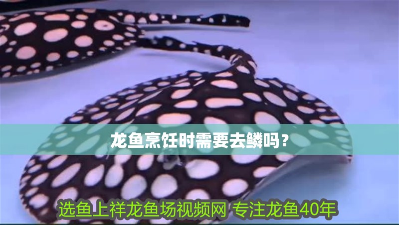 龍魚烹飪時需要去鱗嗎？ 龍魚烹飪時需要去鱗嗎？ 水族問答