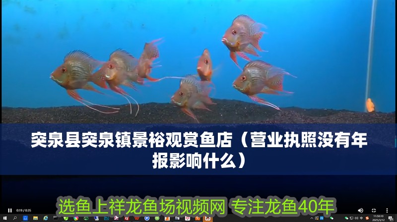 突泉縣突泉鎮景裕觀賞魚店（營業執照沒有年報影響什么）
