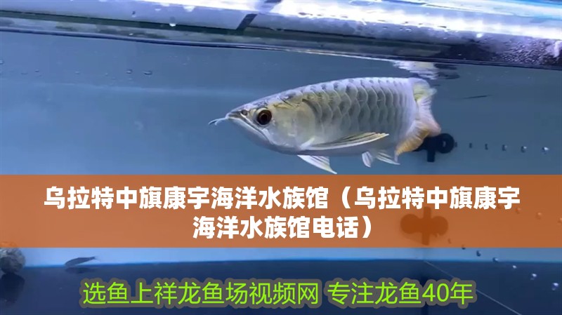 烏拉特中旗康宇海洋水族館（烏拉特中旗康宇海洋水族館電話）