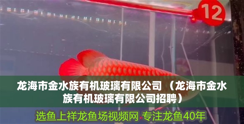 龍海市金水族有機玻璃有限公司 （龍海市金水族有機玻璃有限公司招聘）