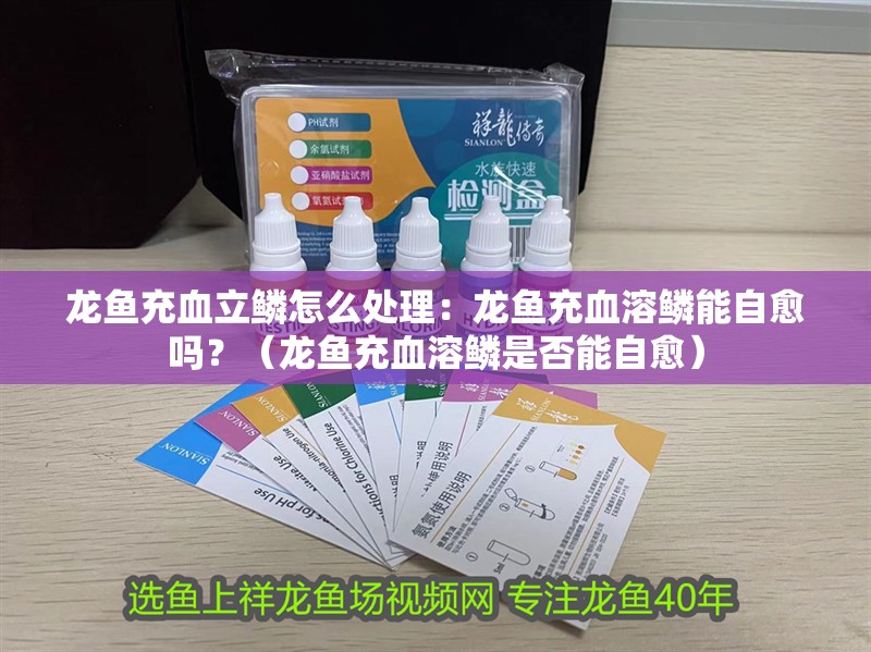龍魚充血立鱗怎么處理：龍魚充血溶鱗能自愈嗎？（龍魚充血溶鱗是否能自愈）