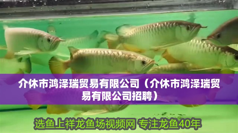介休市鴻澤瑞貿(mào)易有限公司（介休市鴻澤瑞貿(mào)易有限公司招聘）