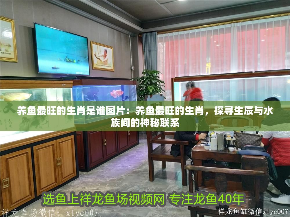 養(yǎng)魚最旺的生肖是誰圖片：養(yǎng)魚最旺的生肖，探尋生辰與水族間的神秘聯(lián)系