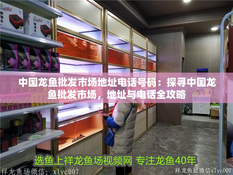中國龍魚批發市場地址電話號碼：探尋中國龍魚批發市場，地址與電話全攻略