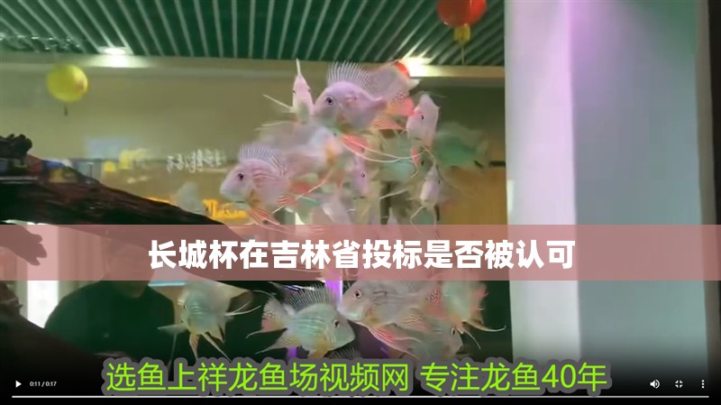 長城杯在吉林省投標是否被認可