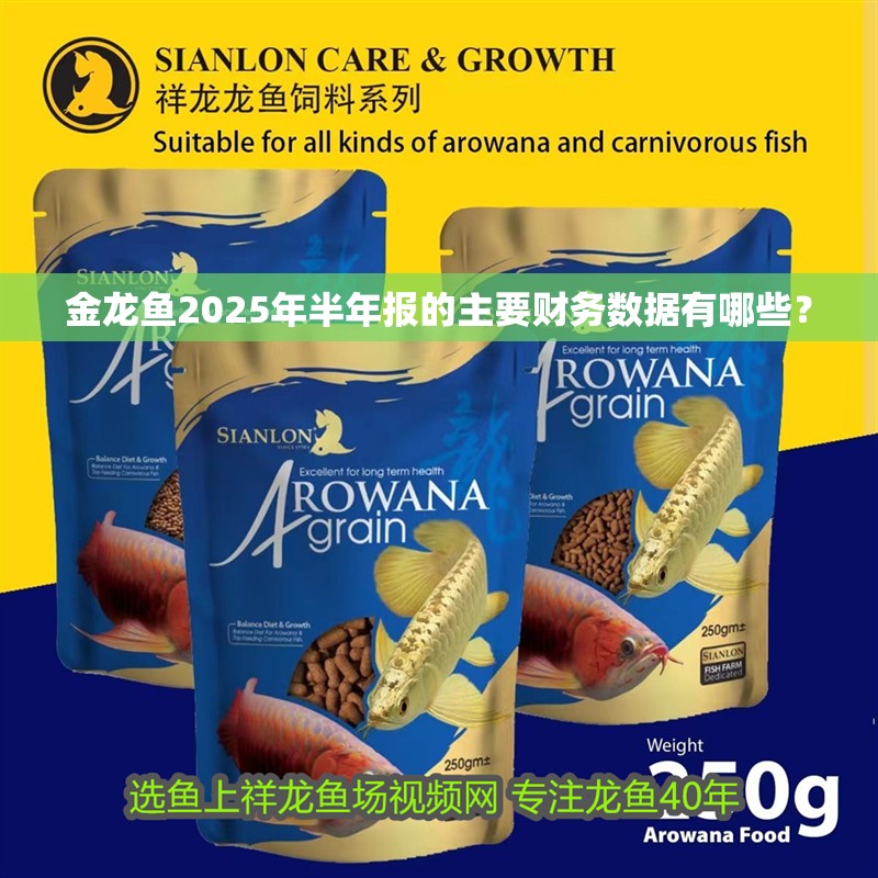 金龍魚2025年半年報的主要財務數據有哪些？ 金龍魚2025年半年報的主要財務數據有哪些？ 水族問答