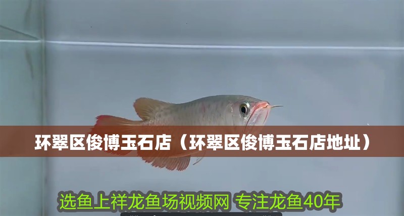 環翠區俊博玉石店（環翠區俊博玉石店地址）