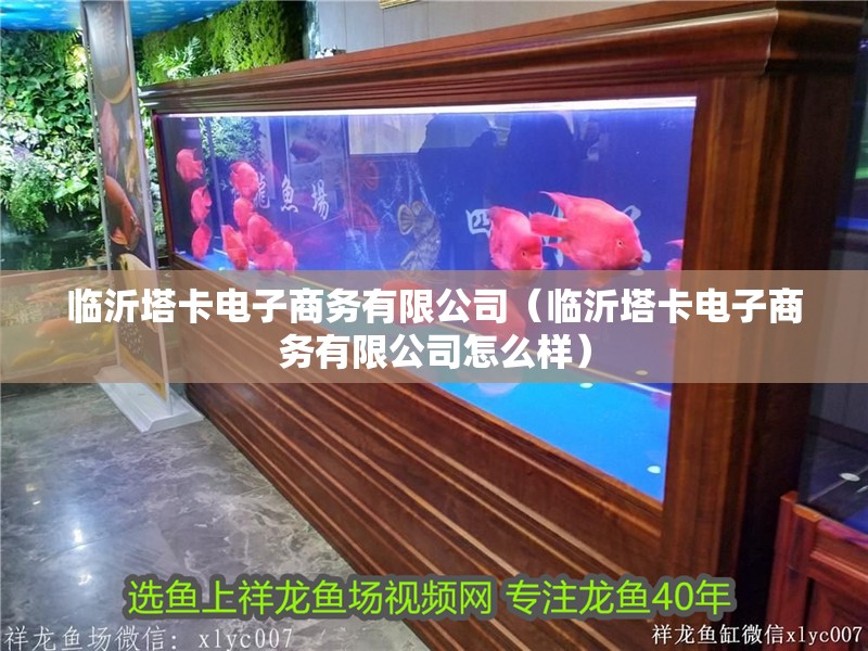 臨沂塔卡電子商務(wù)有限公司（臨沂塔卡電子商務(wù)有限公司怎么樣）