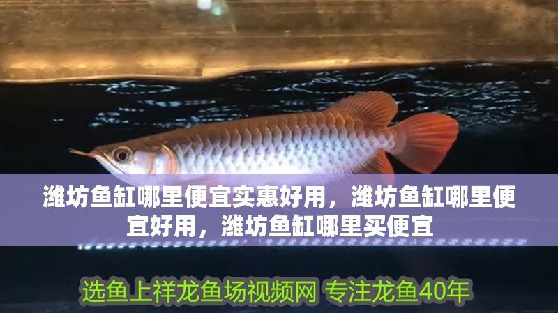 濰坊魚缸哪里便宜實惠好用，濰坊魚缸哪里便宜好用，濰坊魚缸哪里買便宜 濰坊魚缸哪里便宜實惠好用，濰坊魚缸哪里便宜好用，濰坊魚缸哪里買便宜 觀賞魚百科