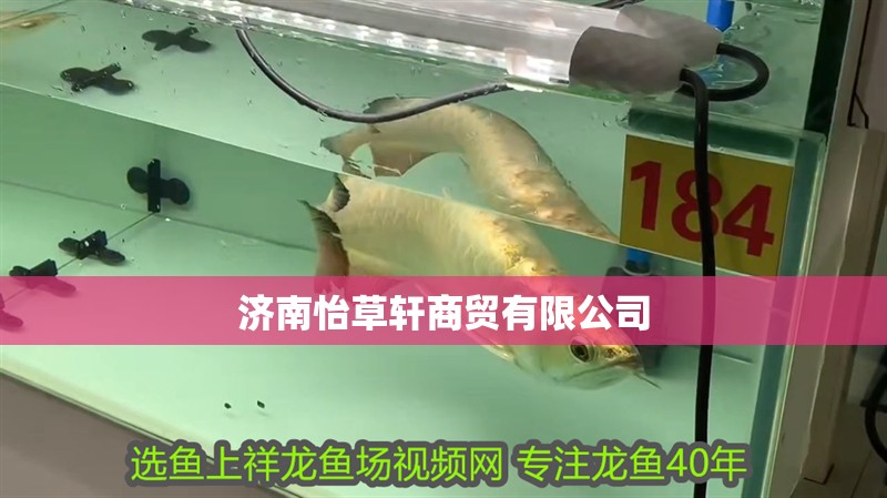 濟南怡草軒商貿有限公司 濟南怡草軒商貿有限公司 全國水族館企業(yè)名錄