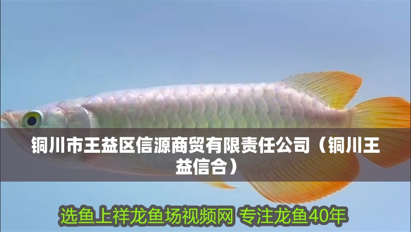 銅川市王益區信源商貿有限責任公司（銅川王益信合）