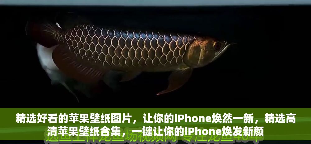 精選好看的蘋果壁紙圖片，讓你的iPhone煥然一新，精選高清蘋果壁紙合集，一鍵讓你的iPhone煥發新顏