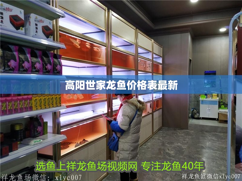 高陽世家龍魚價格表最新