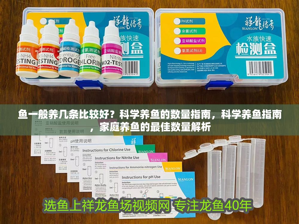 魚一般養幾條比較好？科學養魚的數量指南，科學養魚指南，家庭養魚的最佳數量解析 魚一般養幾條比較好？科學養魚的數量指南，科學養魚指南，家庭養魚的最佳數量解析 龍魚百科 第1張