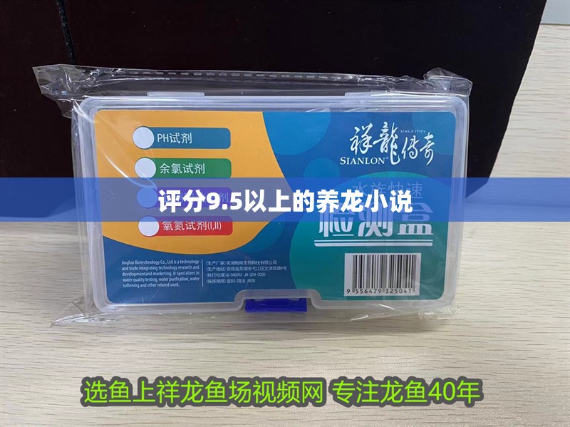 評分9.5以上的養龍小說