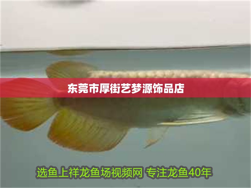 東莞市厚街藝夢源飾品店