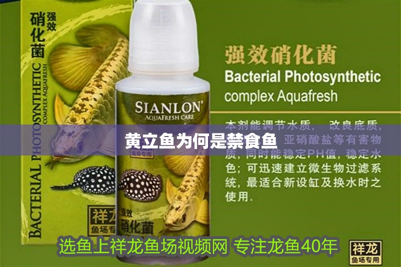 魚缸過濾器選購指南:自制魚缸過濾器魚缸上置過濾器對于養魚愛好者的必備知識 黃立魚為何是禁食魚 龍魚論壇 黃立魚為何是禁食魚 黃立魚為何是禁食魚 龍魚論壇